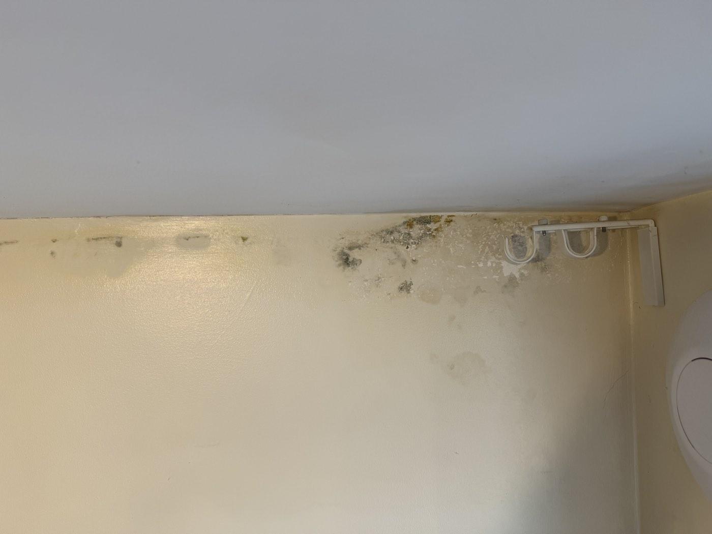 Before: mould and staining along the ceiling line