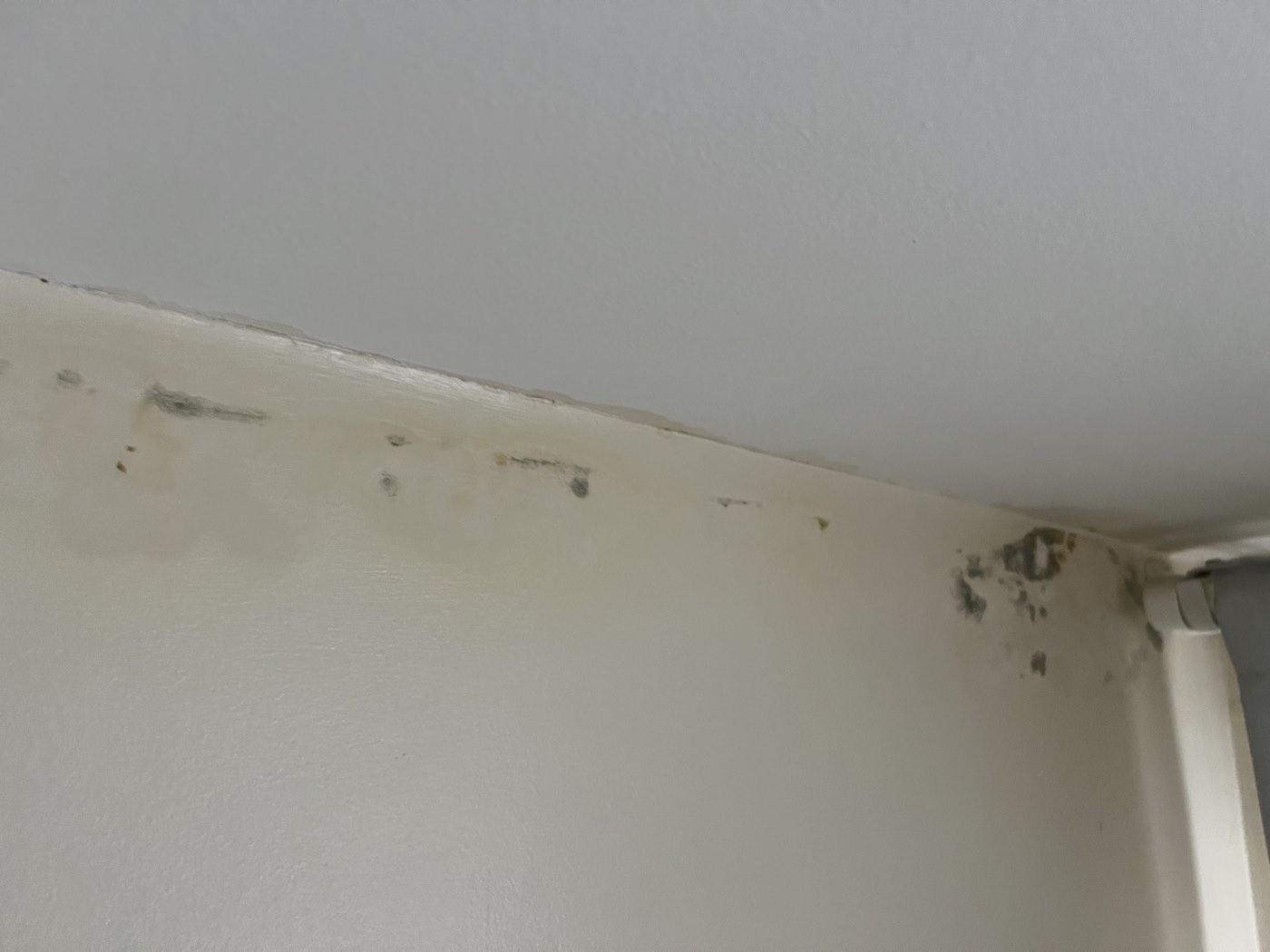 Before: stains to be treated and sealed