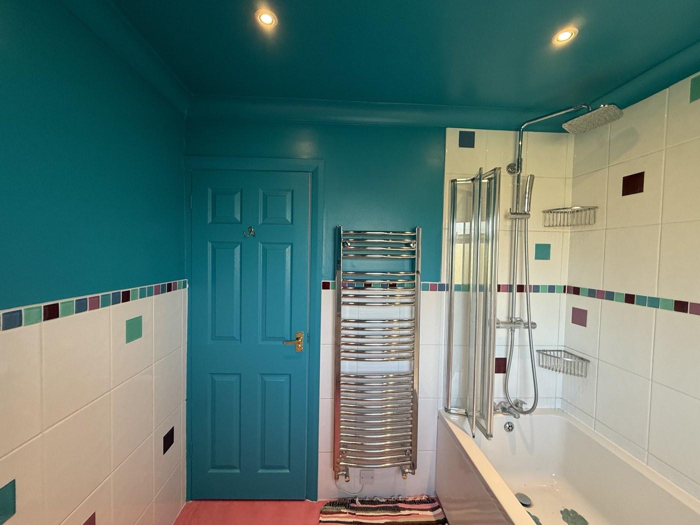 Bathroom Repair & Repaint