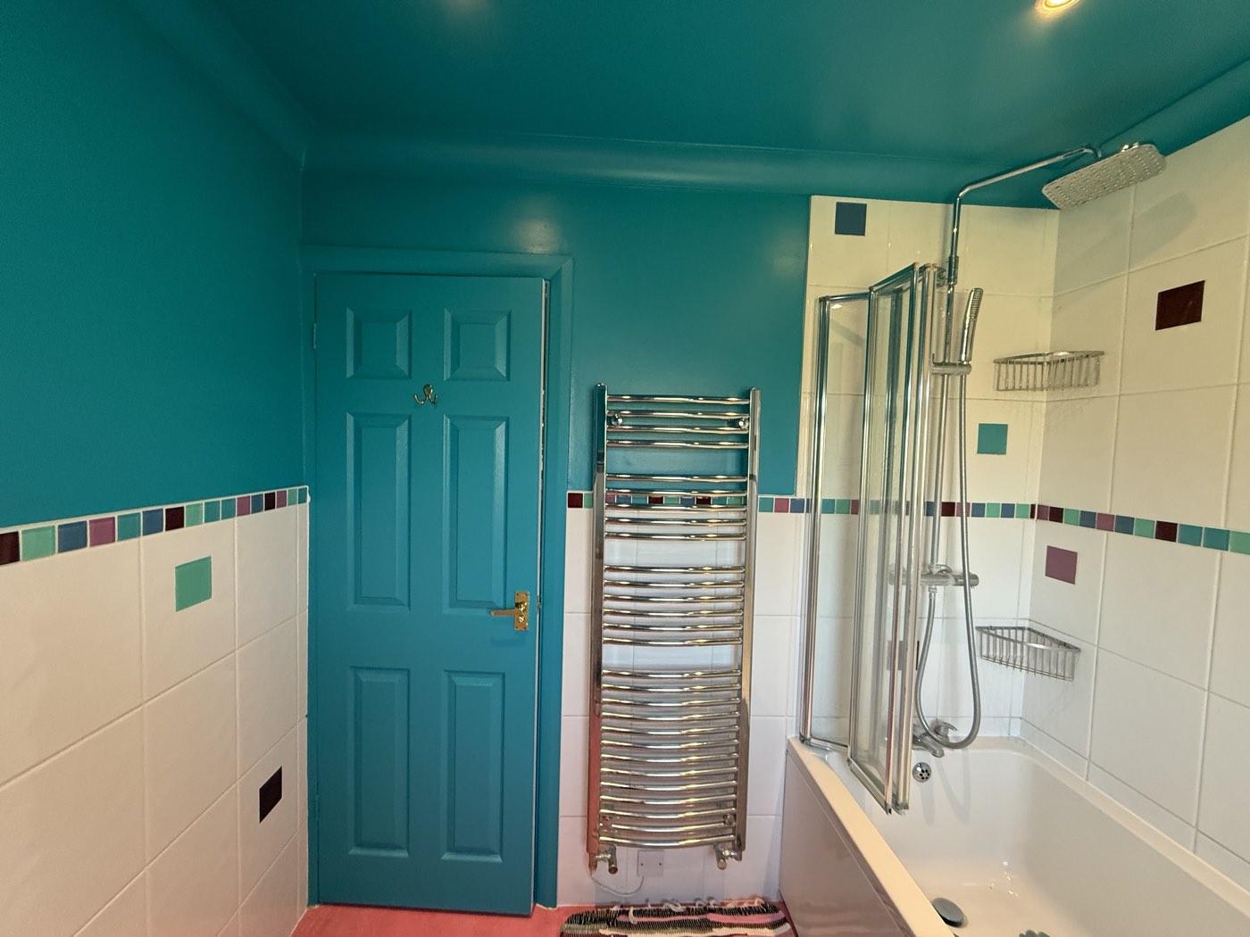 Bathroom Repair & Repaint – photo 2