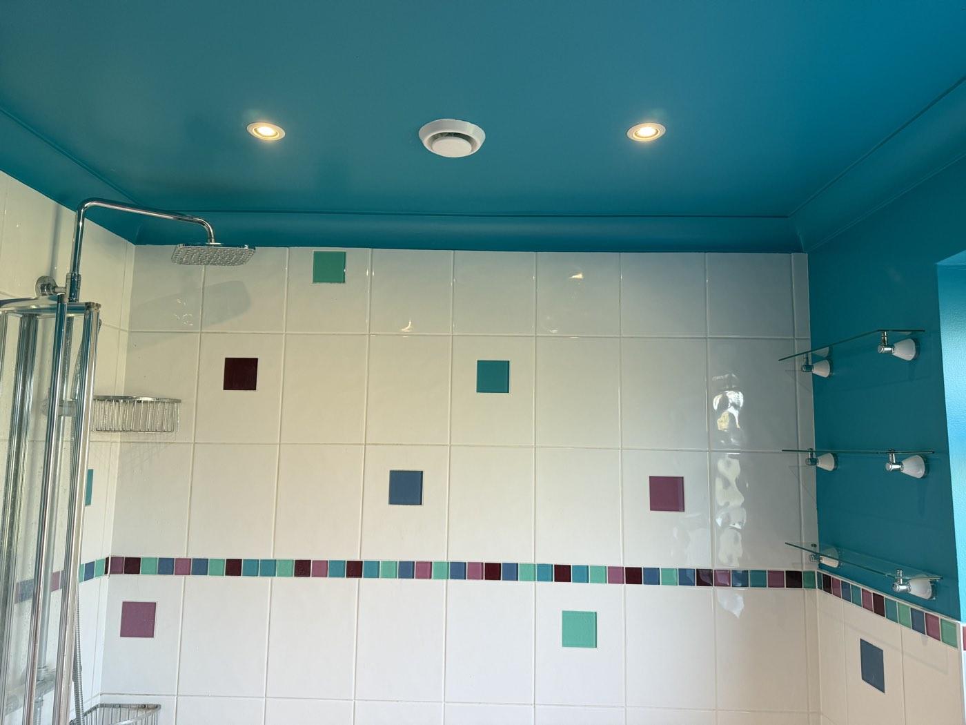 Bathroom Repair & Repaint – photo 3