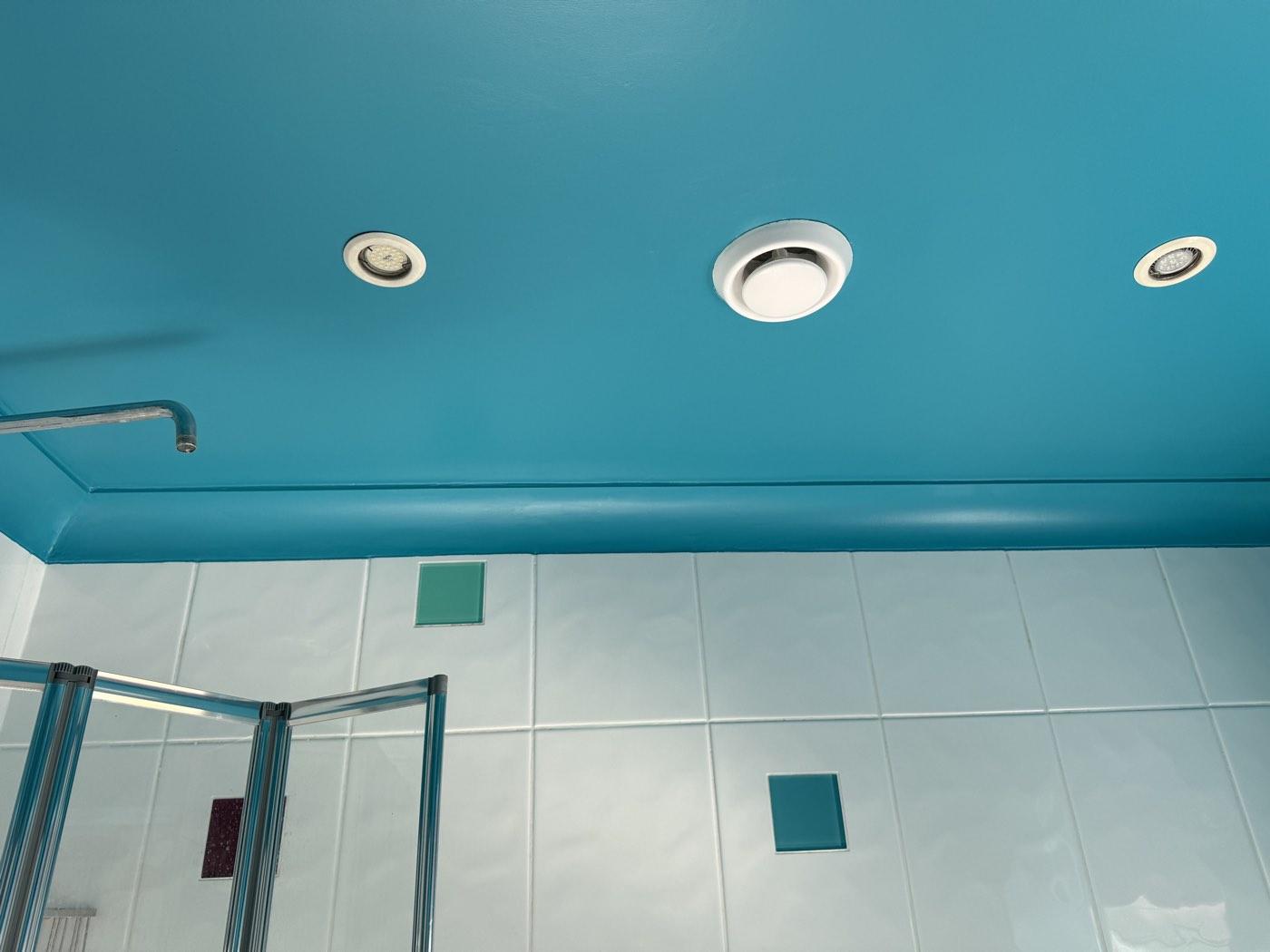 Bathroom Repair & Repaint – photo 4