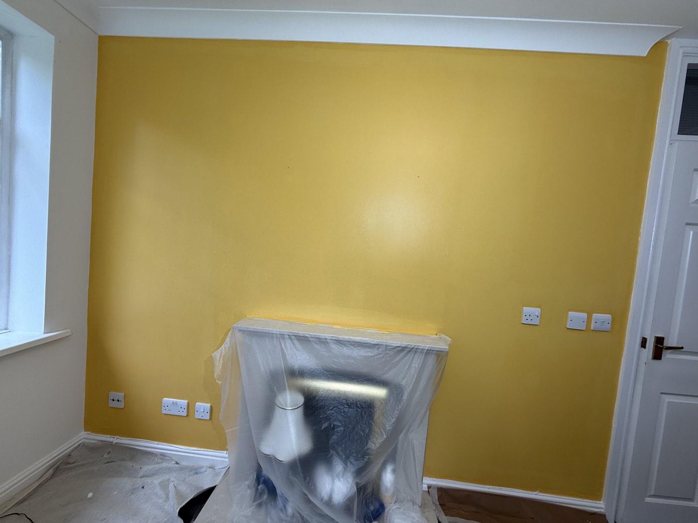 The feature wall colour going on